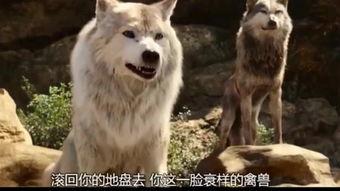 狼有在线观看,揭秘神秘狼族传奇  第3张