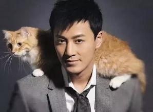 林峰近期爆料新闻报道视频,揭秘幕后真相，带你走进娱乐圈风云