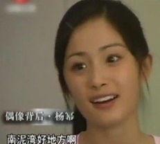 杨幂韩国爆料视频大全集,揭秘明星幕后故事  第1张