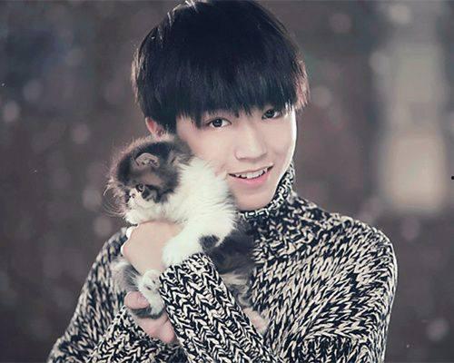 娱乐圈爆料君宋威龙图片,娱乐圈爆料君魅力四溢  第2张