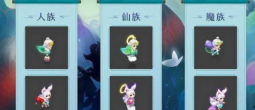 嘉年华爆料讲解视频,视频爆料背后的精彩瞬间  第1张