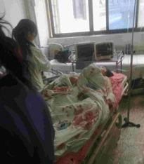 郑州爆料搬宿舍事件视频,搬宿舍事件引发热议  第1张