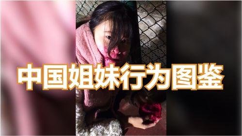 姊妹行全集在线观看,一场跨越时空的姐妹情深之旅  第2张