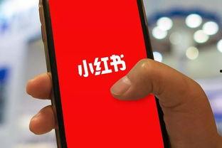 小红书爆料姜磊事件视频,小红书热议的真相揭秘